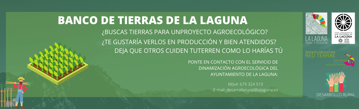 BANCO DE TIERRAS 